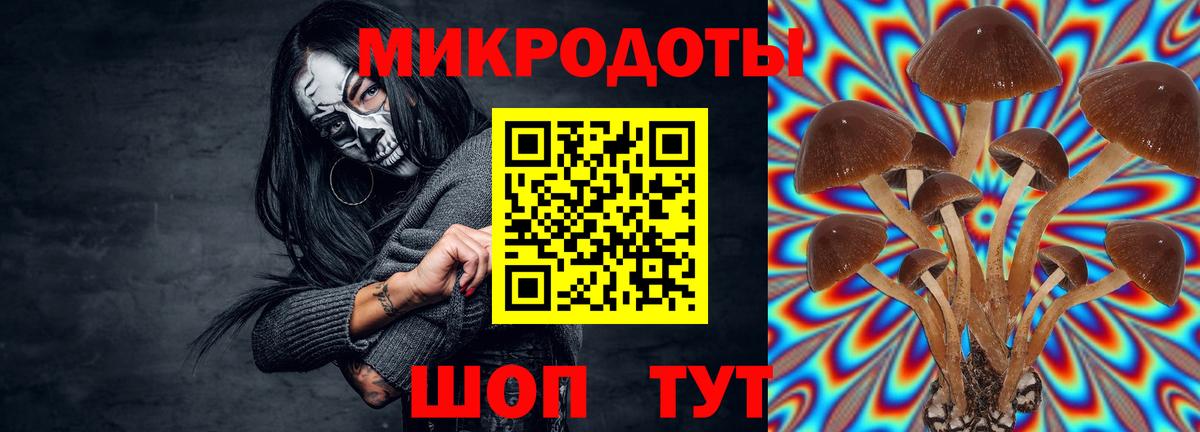 Псилоцибиновые грибы MAGIC MUSHROOMS Энгельс