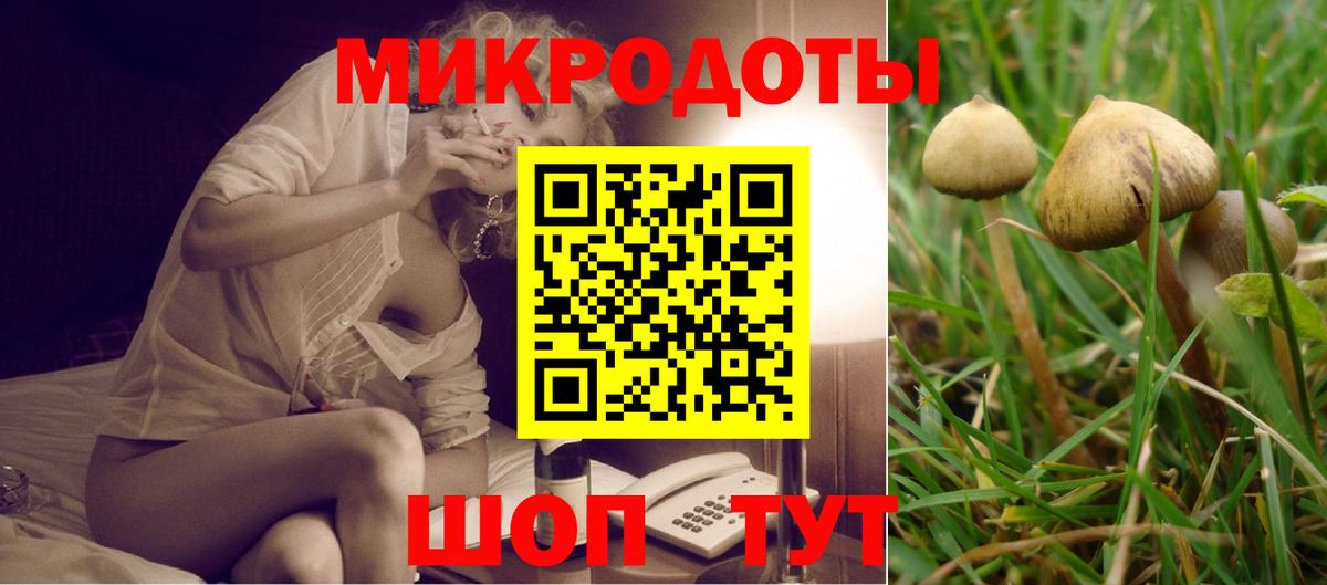 Галлюциногенные грибы прущие грибы  Вход с VPN  Энгельс 
